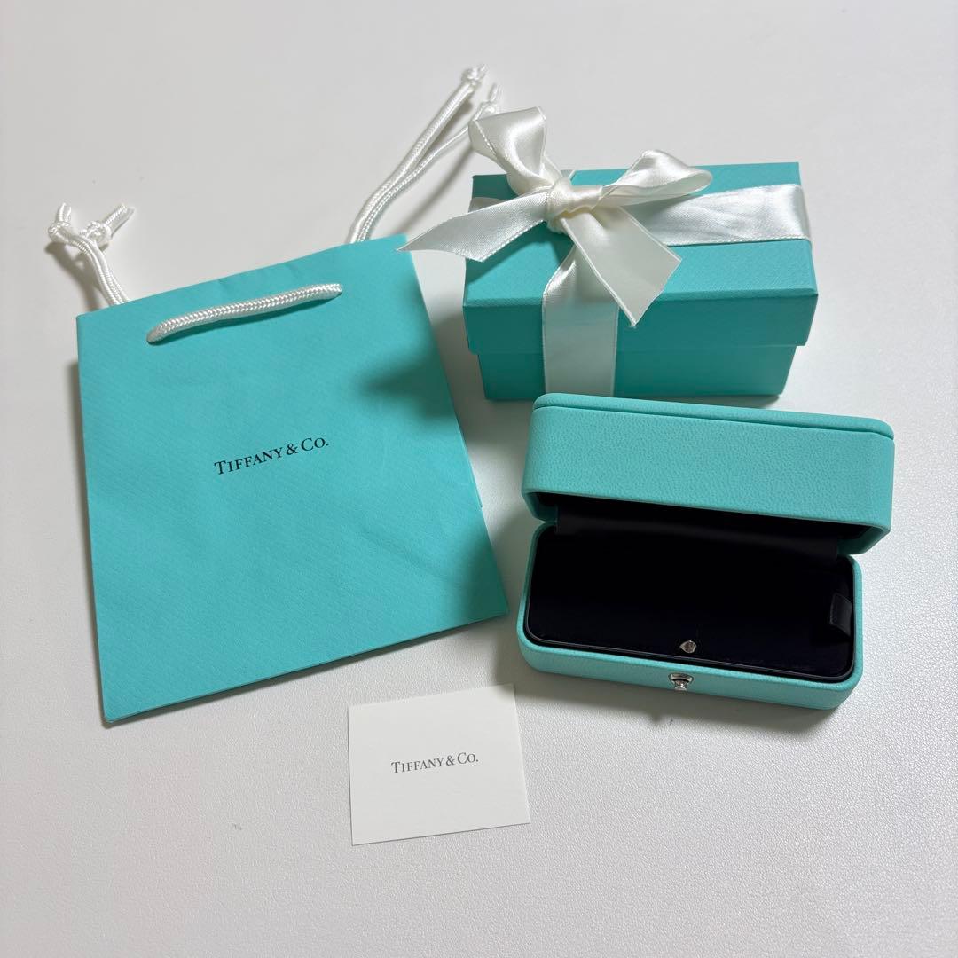 美品　ティファニー　ピアスケース　空箱　現行品　ブルーボックス