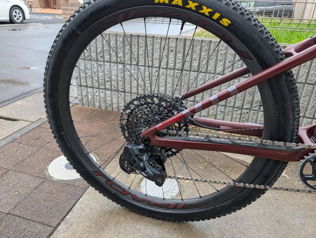 こねこきたやろさん専用 Specialized Epic Evo Expert