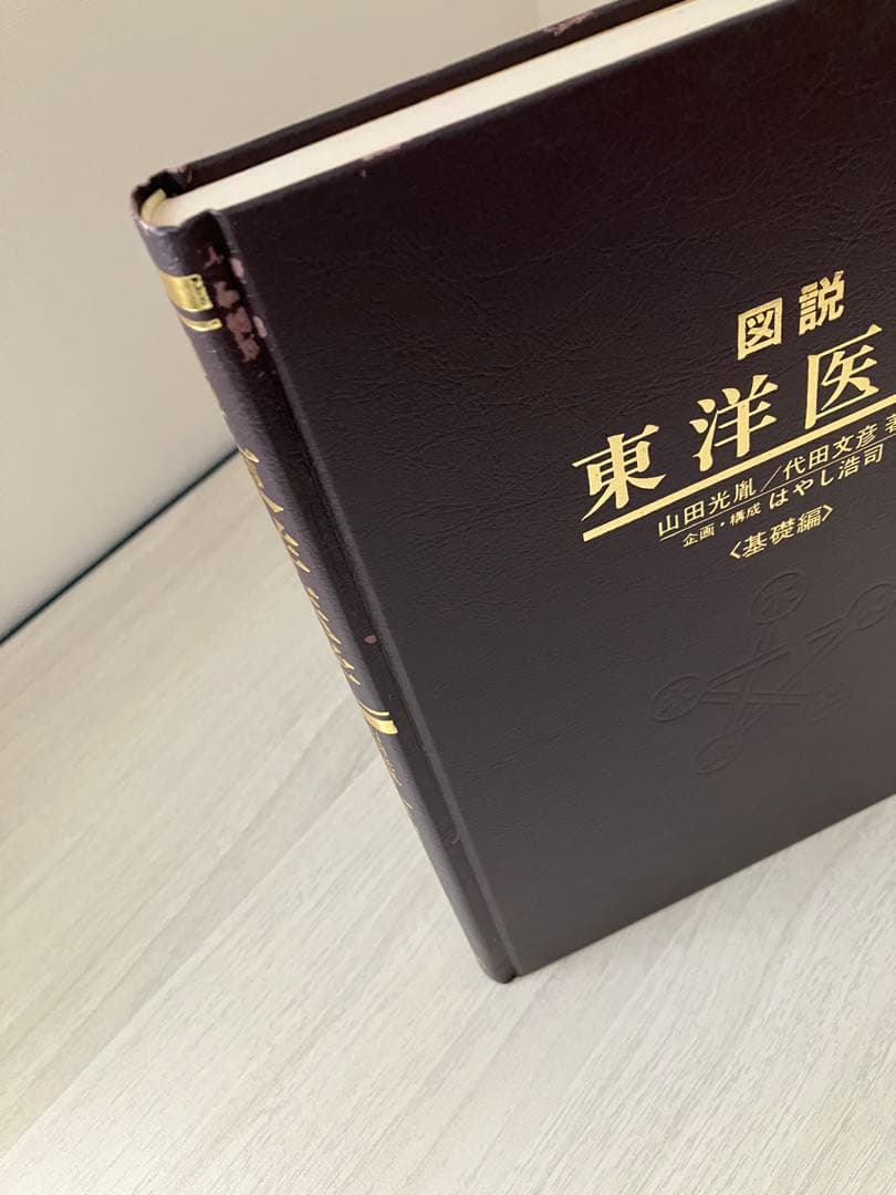 図説 東洋医学（基礎編）