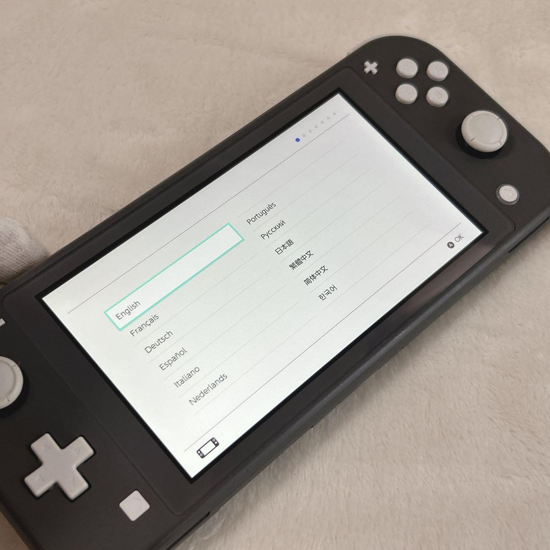 ✨動作品✨Nintendo Switch Lite グレー スイッチライト 本体