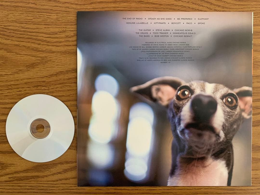 SHELLAC Excellent Italian LP シェラック アルビニ