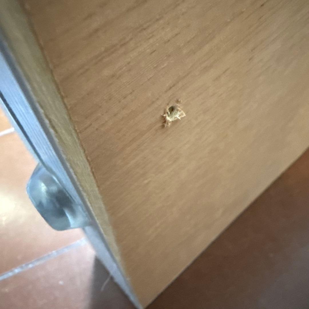 大型 姿見 鏡