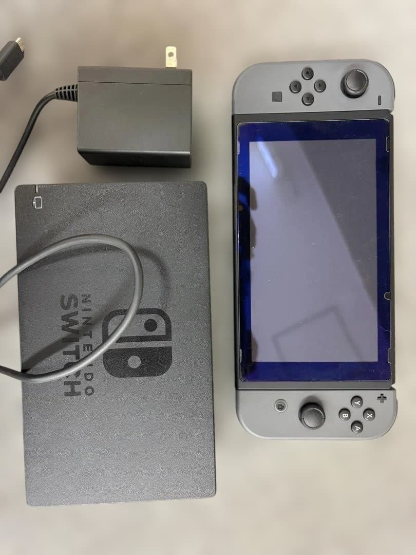 Nintendo Switch 本体 グレー ドック ACアダプター付き