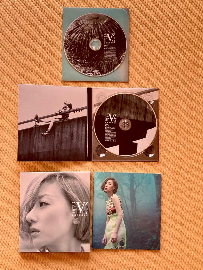 泳兒 Vincy CD 7枚セット