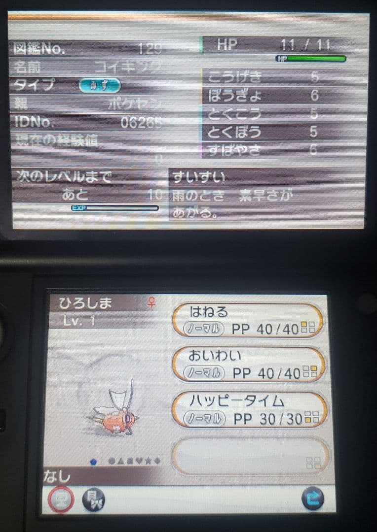 Y 配布あり ポケモン 3DS