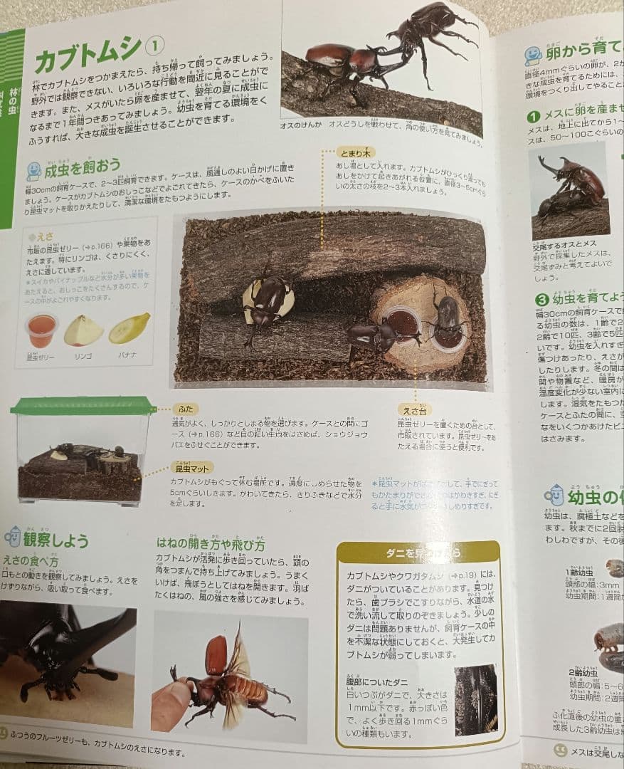 小学館の図鑑NEO 12冊+21世紀こども百科1冊 全13冊セット