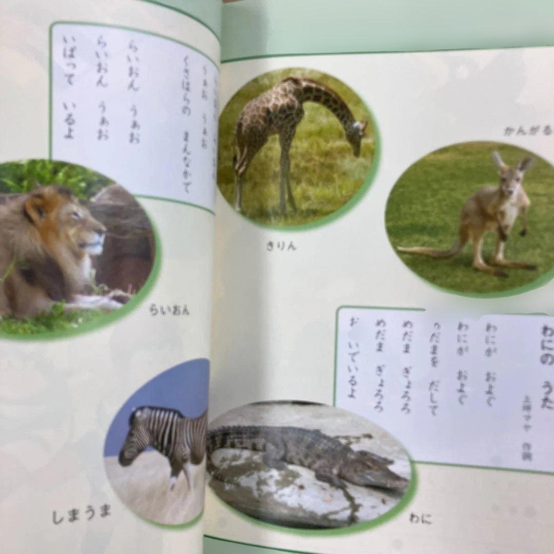 特別支援学校「音楽」星本４冊、解説２冊