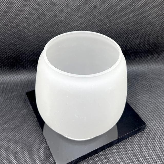 希少モデル Dietz #76 フロスト グローブ ホヤ ホワイト 白 新品