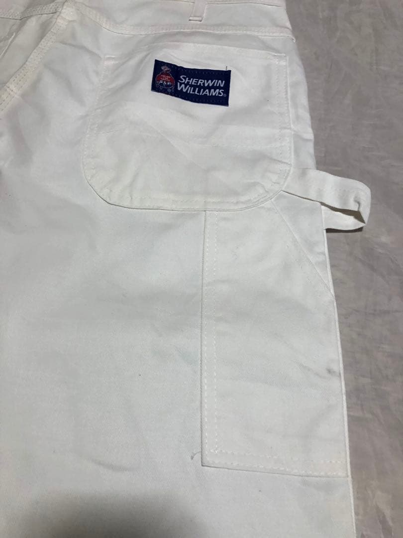 デッド Dickies×SHERWIN WILLIAMS ペインターパンツ