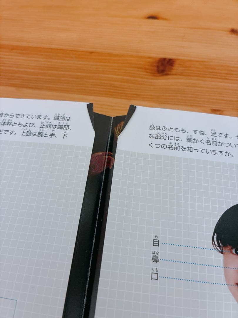 小学館の図鑑NEO 13冊セット　バラ売り❌
