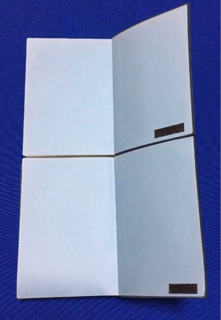 【2冊セット・良品】図解 鍼灸療法技術ガイドⅠ・Ⅱ／文光堂／東洋医学 臨床