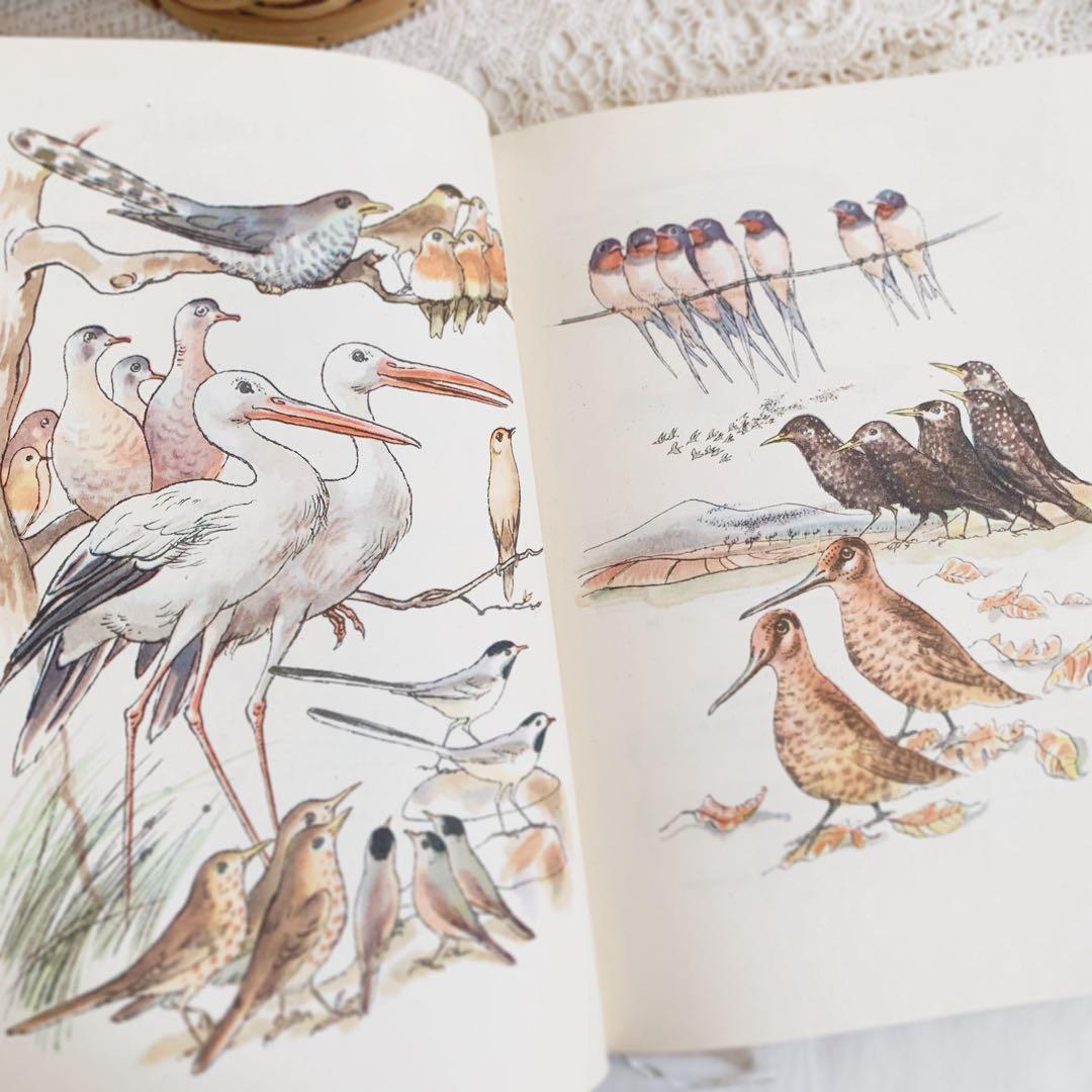 「秋」⋆素敵な挿画のチェコ古書 1954年 カレル・スヴォリンスキー　ビンテージ