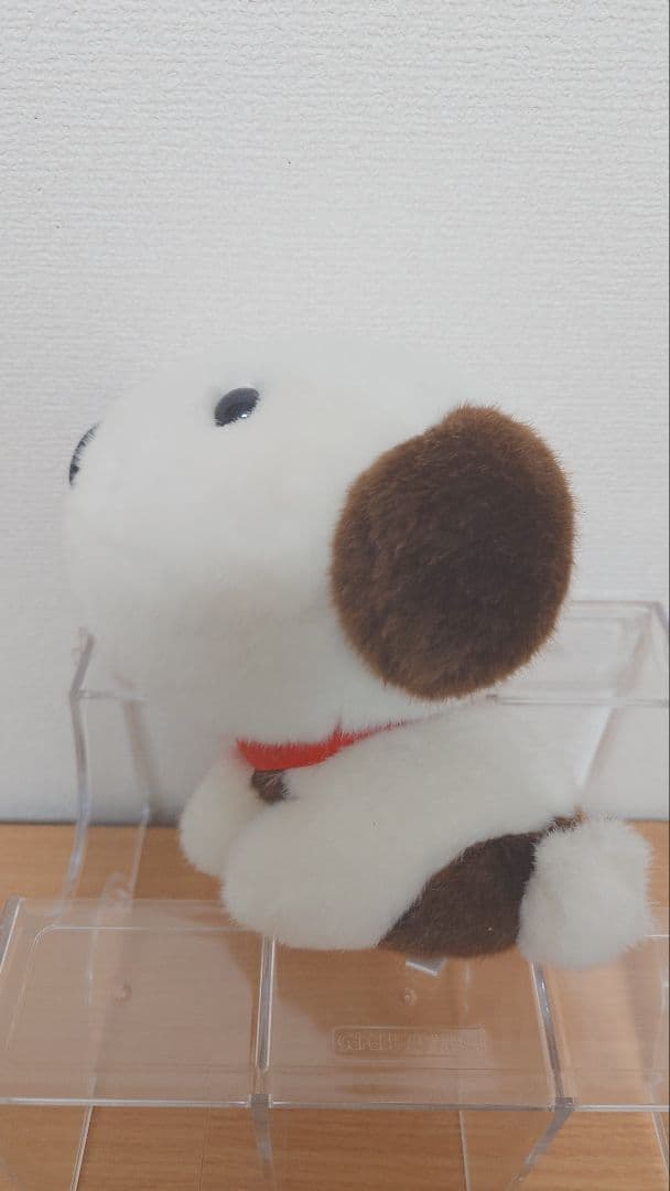リトル・チャロ プレミアムコレクションDVD＋ぬいぐるみ