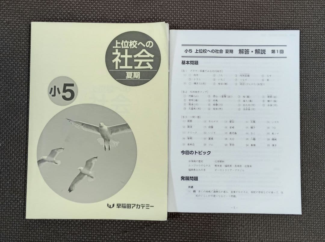 小5 夏期講習 早稲田アカデミー 早稲アカ上位校