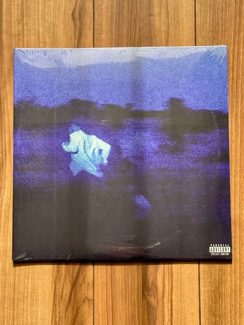 新品 限定盤 Daniel Caesar / NEVER ENOUGH 2LP