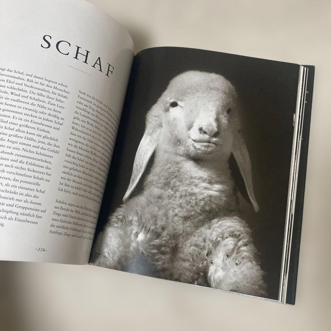 Die Seele der Tiere - 写真集
