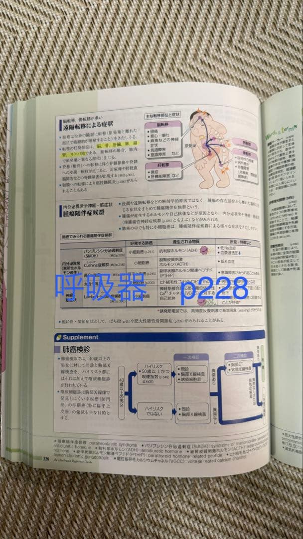 病気がみえる 12冊セット（免疫・感染症、腎泌尿器、耳鼻咽喉科は除く）