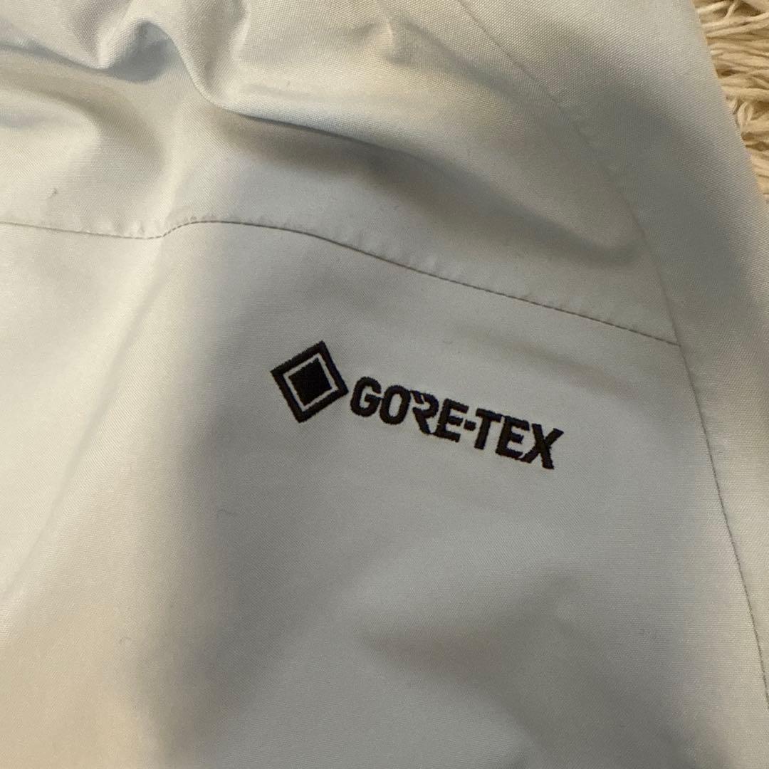 GOLDWIN Thebe GTX Pants ベイパーグレー