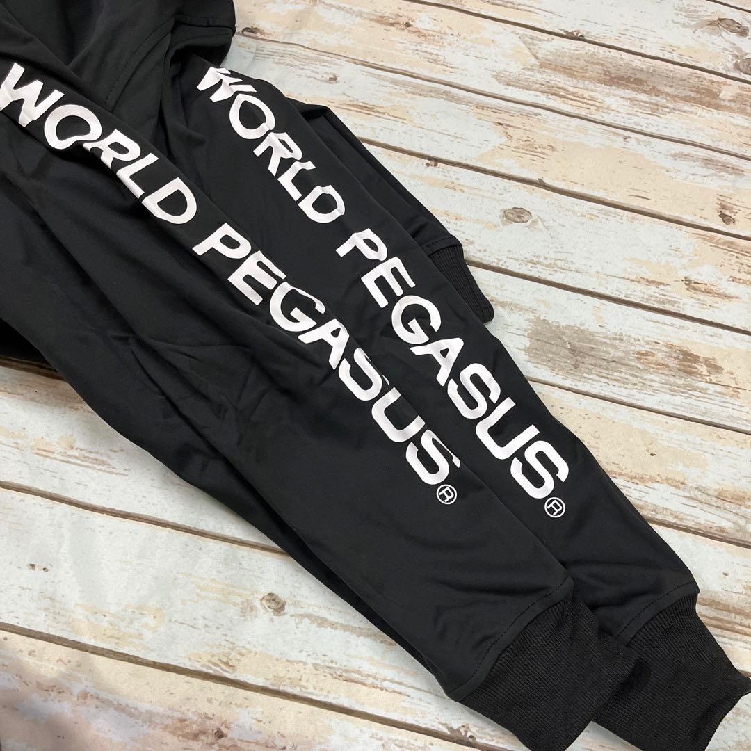 Worldpegasus 防風ニットフーデットパーカー　プルオーバー　黒L 新品