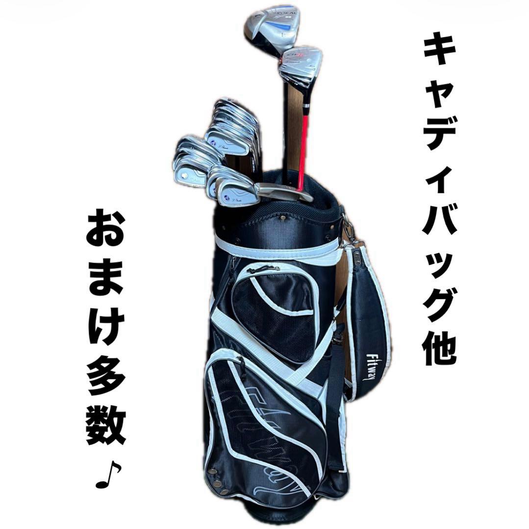 【NIPPON GOLF】格安ゴルフクラブ13本 フルセット キャディバッグ付き