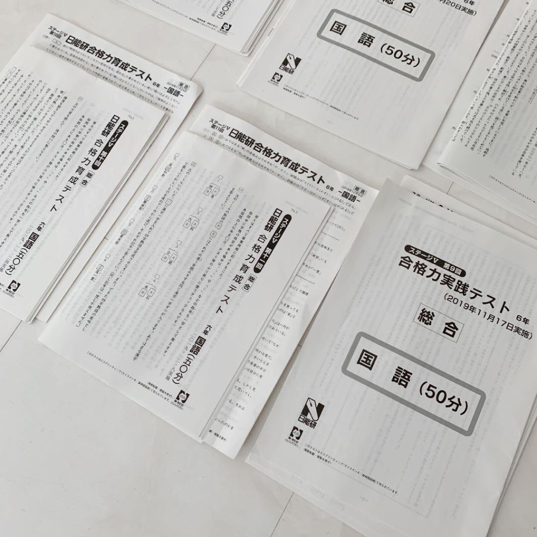 日能研　6年　後期　模試　2019年 合格力実践テスト　合格力育成テスト