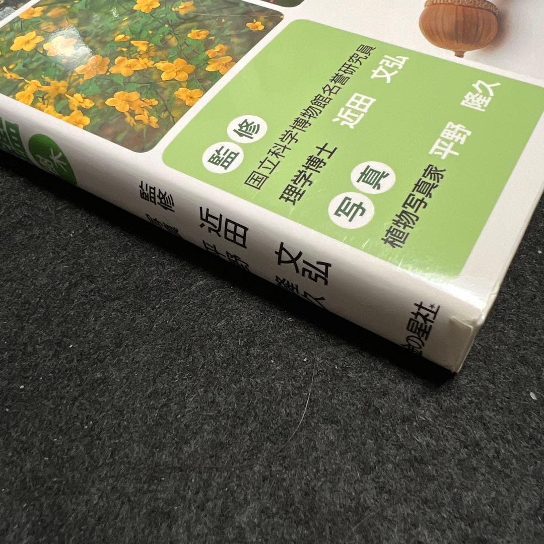 学校のまわりでさがせる植物図鑑 ハンディ版 春 夏 秋冬 樹木 全4冊セット