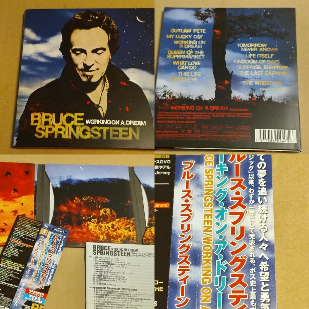 ●ブルース・スプリングスティーン 公式＆レアCD/DVD 豪華10点網羅セット●