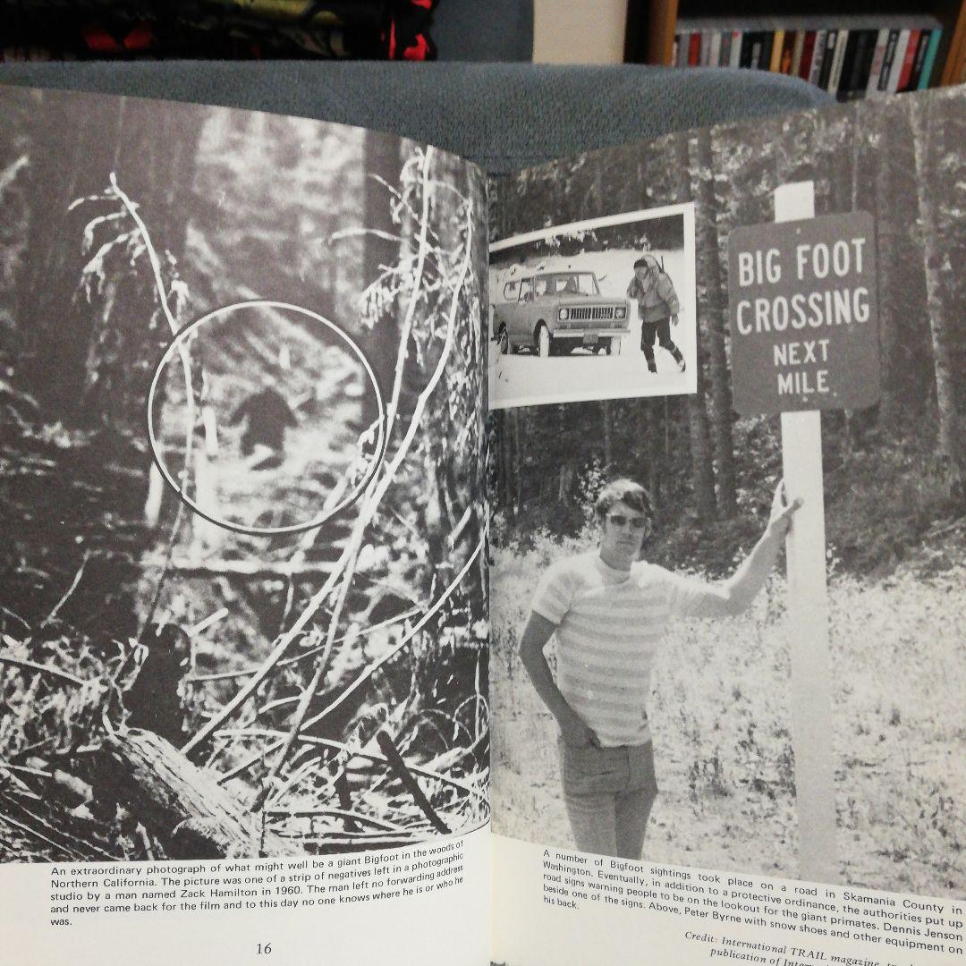 洋書 The Search for Bigfoot by Byrne