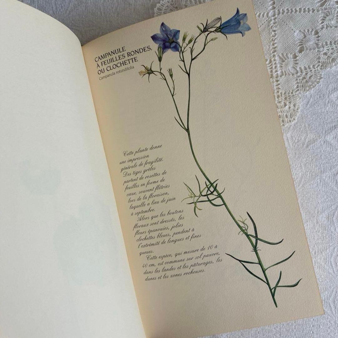 【希少・美品】1990年 美しいフランス植物図鑑　ナタン社　NATHAN