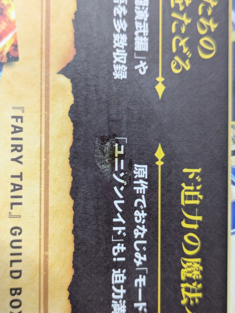 Switch FAIRY TAIL フェアリーテイル GUILD BOX