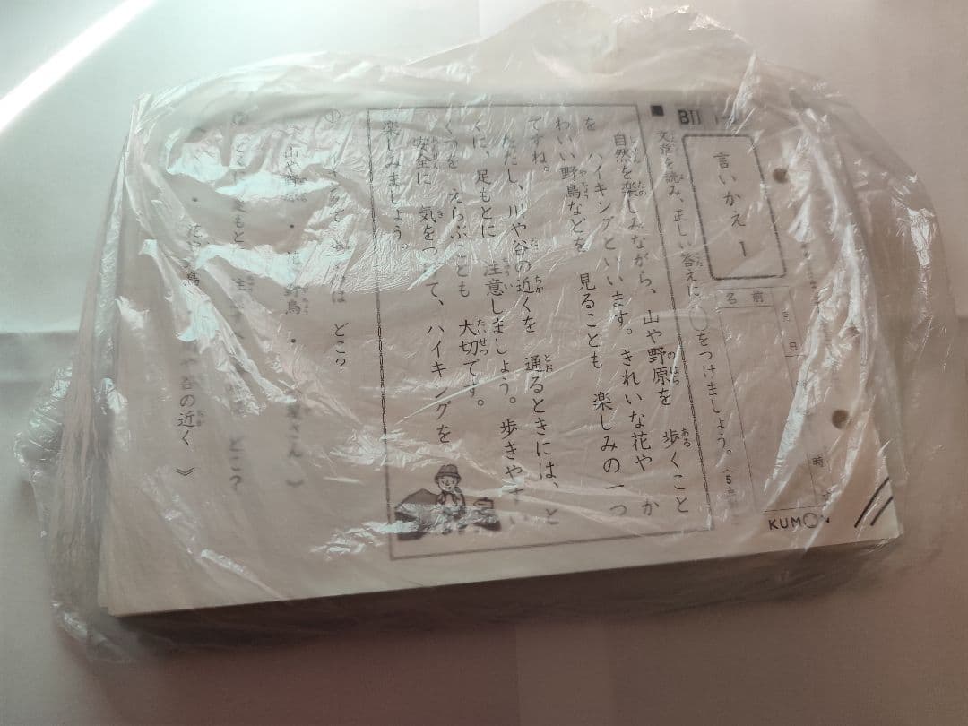 【書込無・抜無】公文 国語 全400ページ　BⅠ　1〜200&　BⅡ　1〜200