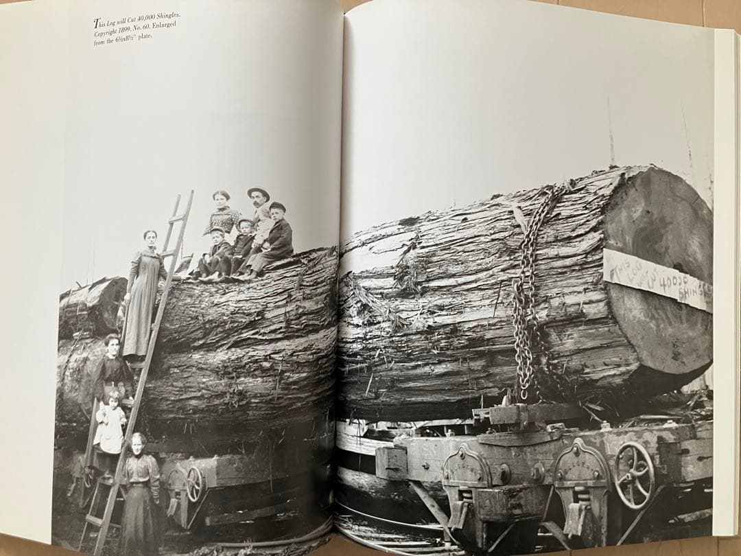 《大型本・英文》「キンゼイ写真集」Kinsey PHOTOGRAPHER