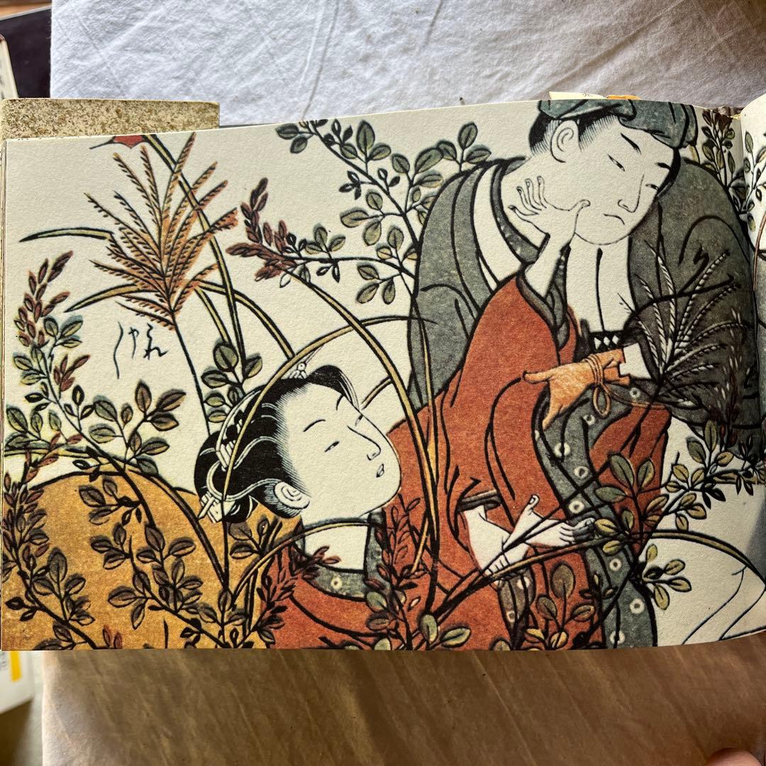 美品　日本名品聚芳　秘巻　浮世絵大錦 　秘巻　肉筆浮世絵　 2冊　芳賀書店