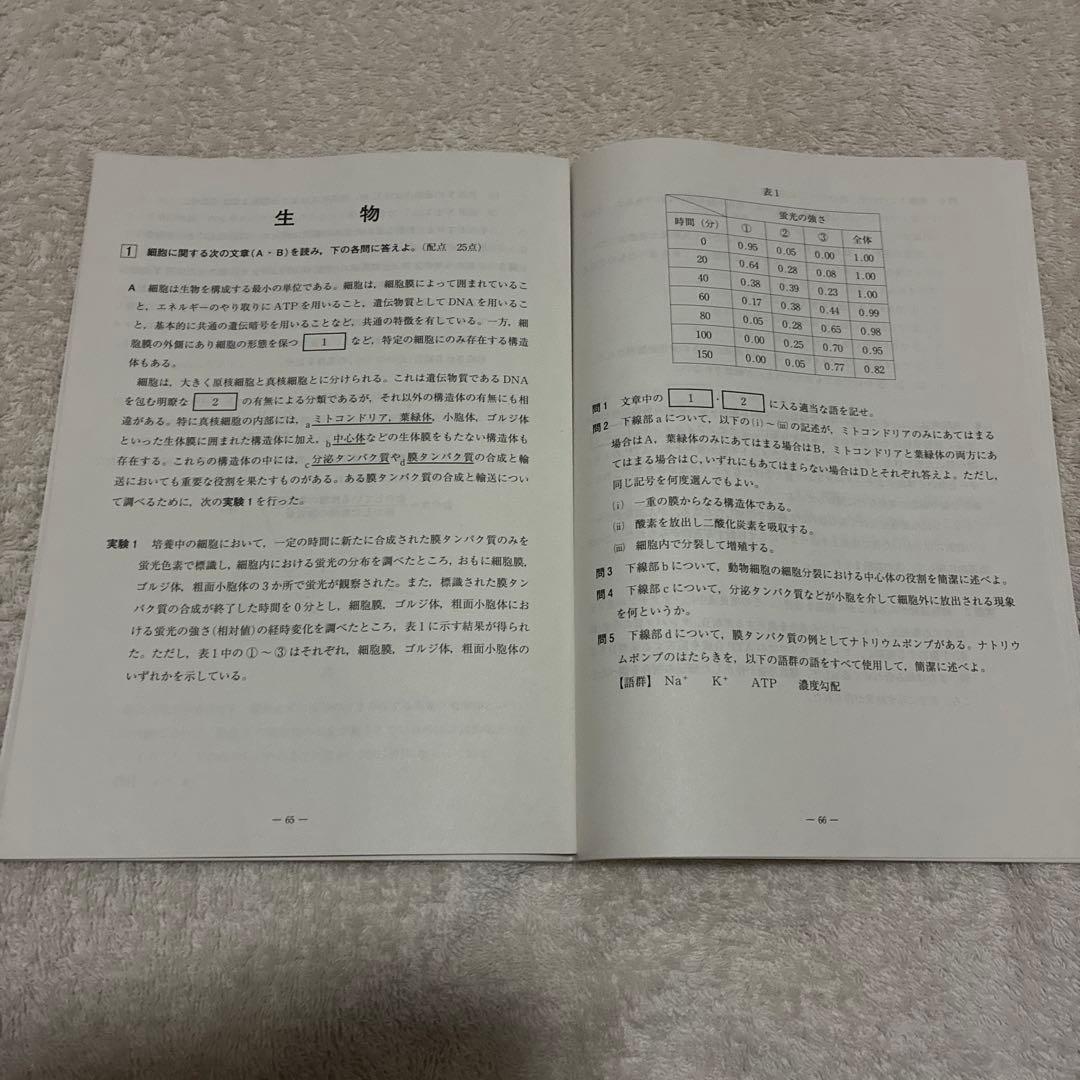 【未使用】高校3年生 2024年度 第1回 全統記述模試 全科目セット 河合塾