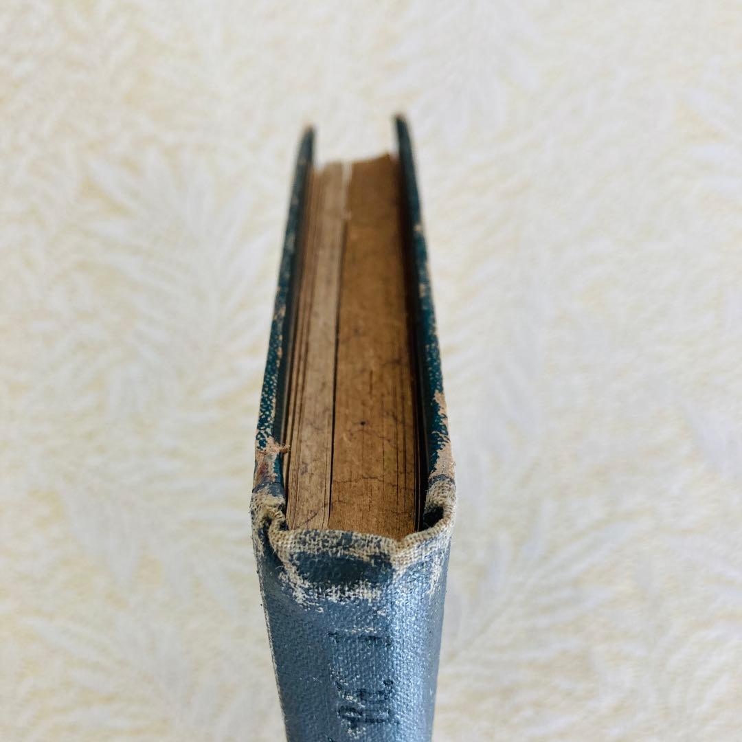 洋書　古書　ドイツのアンティーク植物図鑑　第1巻　精密で美しい植物画♡