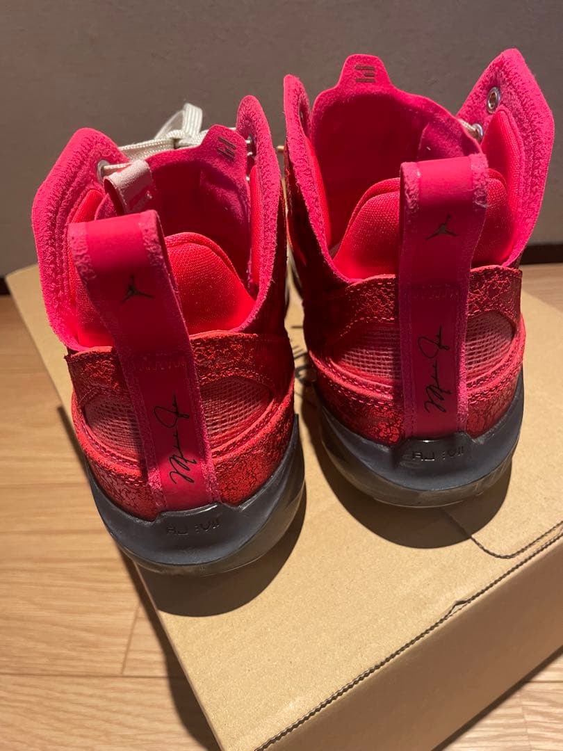 Nike バッシュ　Jordan 37 八村モデル25.5㎝