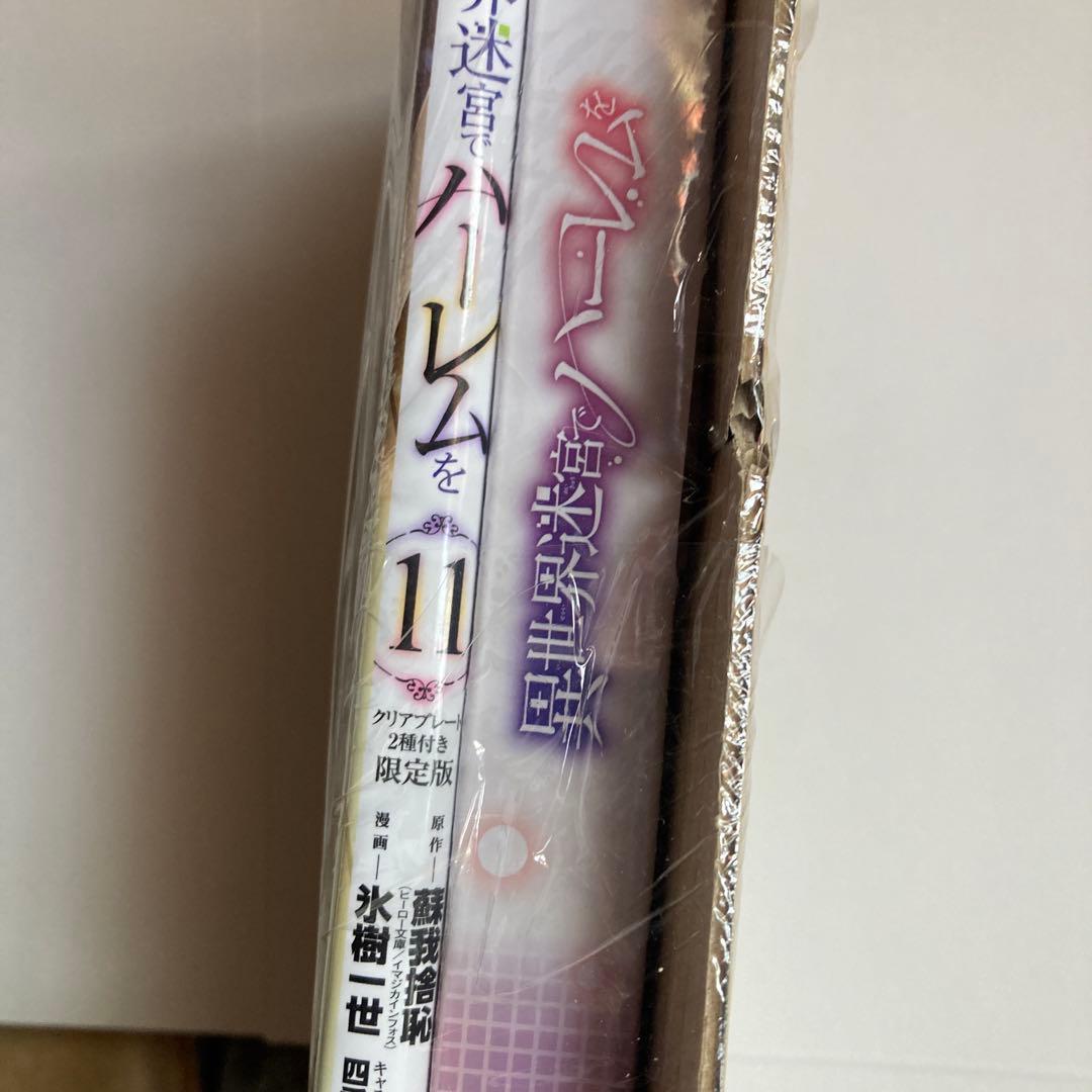 異世界迷宮でハーレムを11 ゲーマーズ限定版