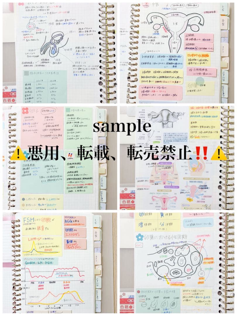 助産ノート 全セット 237ページ!