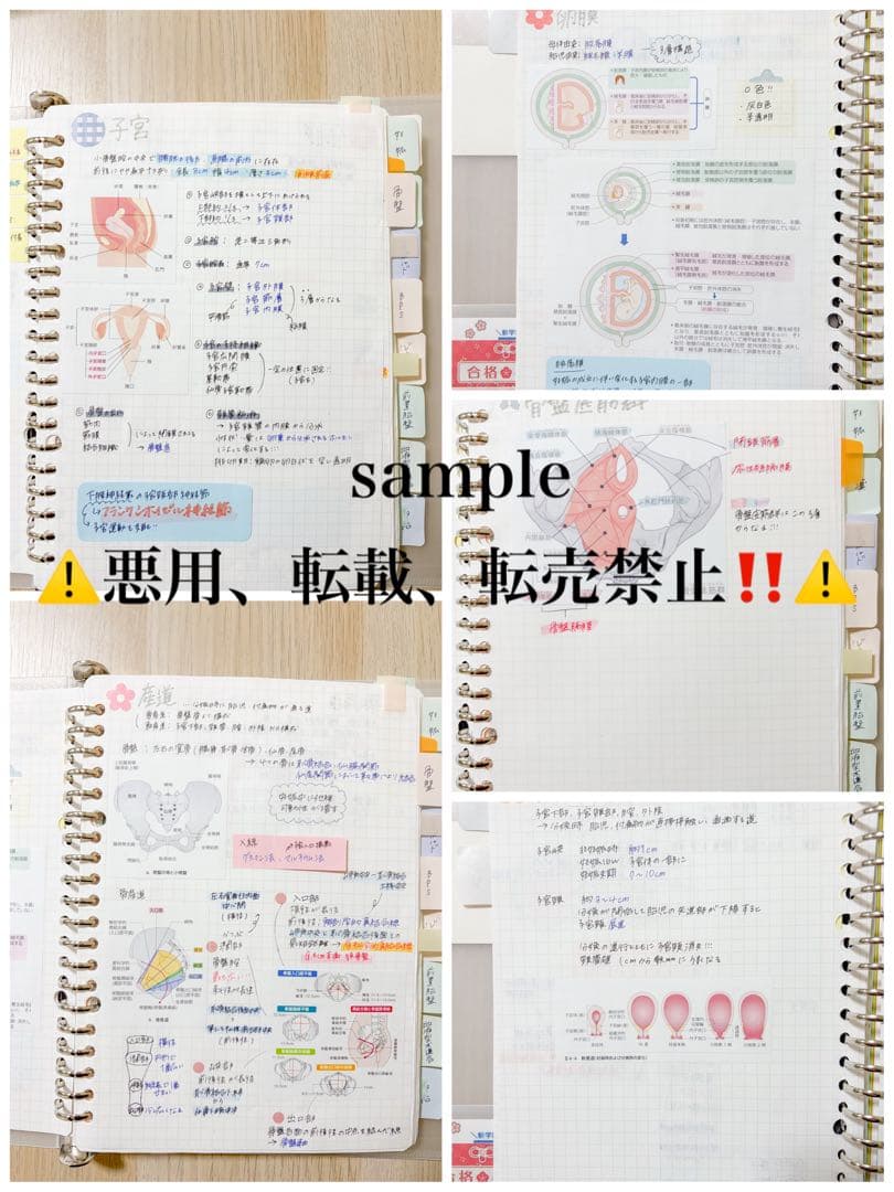 助産ノート 全セット 237ページ!