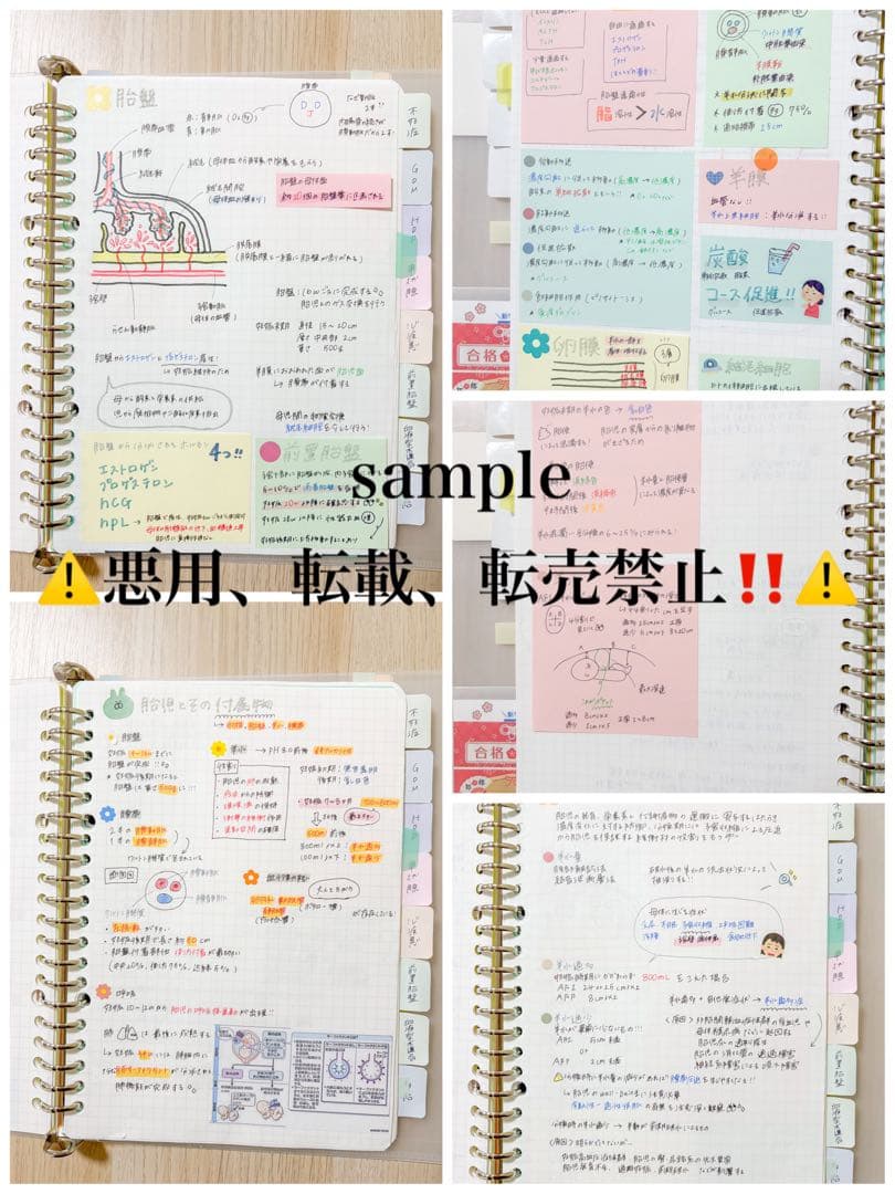 助産ノート 全セット 237ページ!