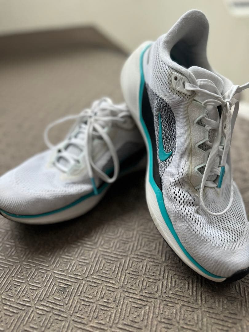 Nike ペガサス41 (26.5)最終値下げ
