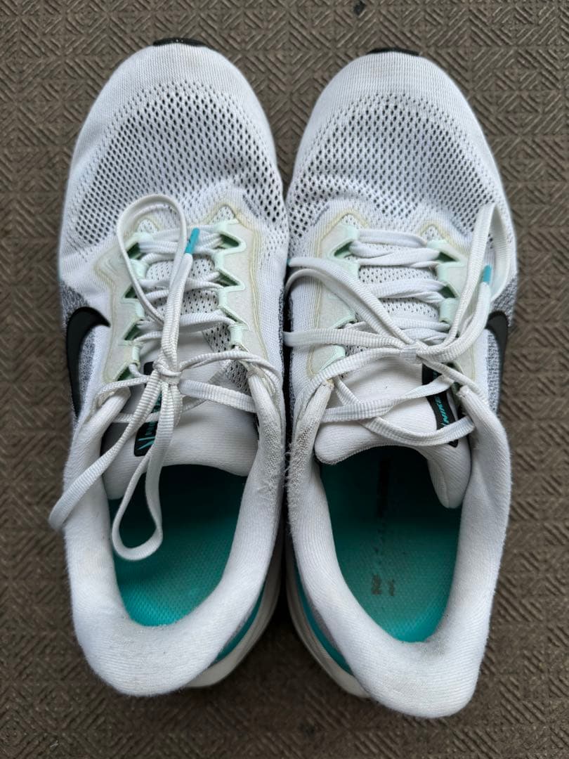 Nike ペガサス41 (26.5)最終値下げ
