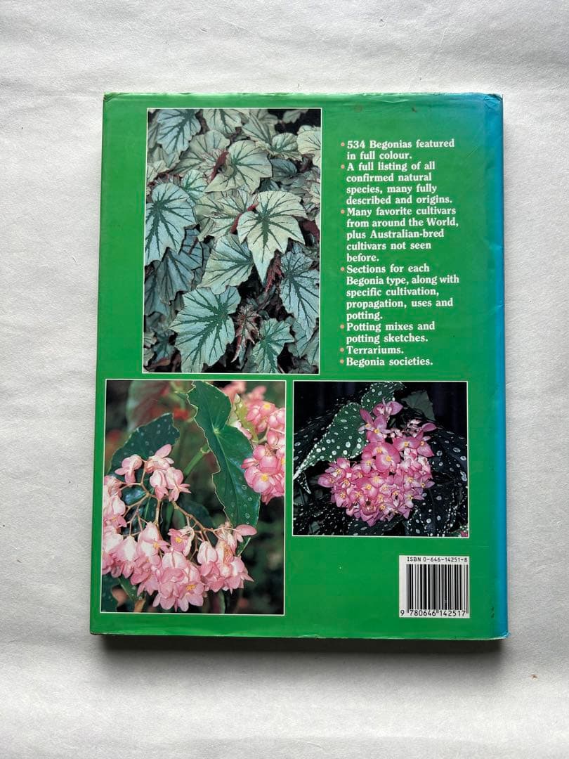 Know Your Begonias ベゴニア