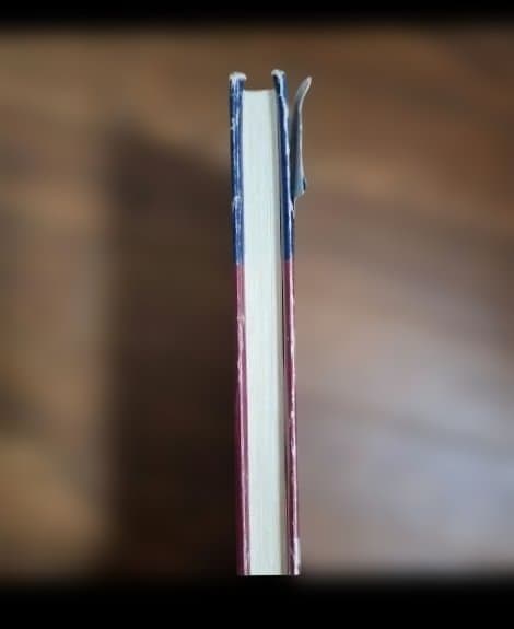 エッセンシャルカイロプラクティック哲学