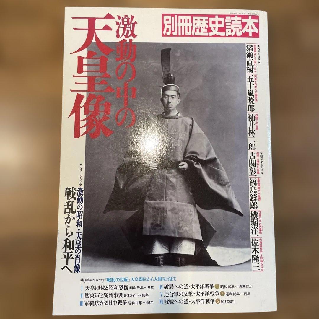激動の中の天皇像・粘膜銀座・激動の昭和・天皇の肖像