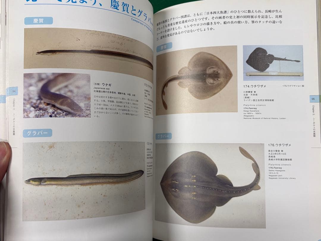図録【シーボルトの水族館】正誤表、チケット半券、フライヤー付　川原慶賀 長崎