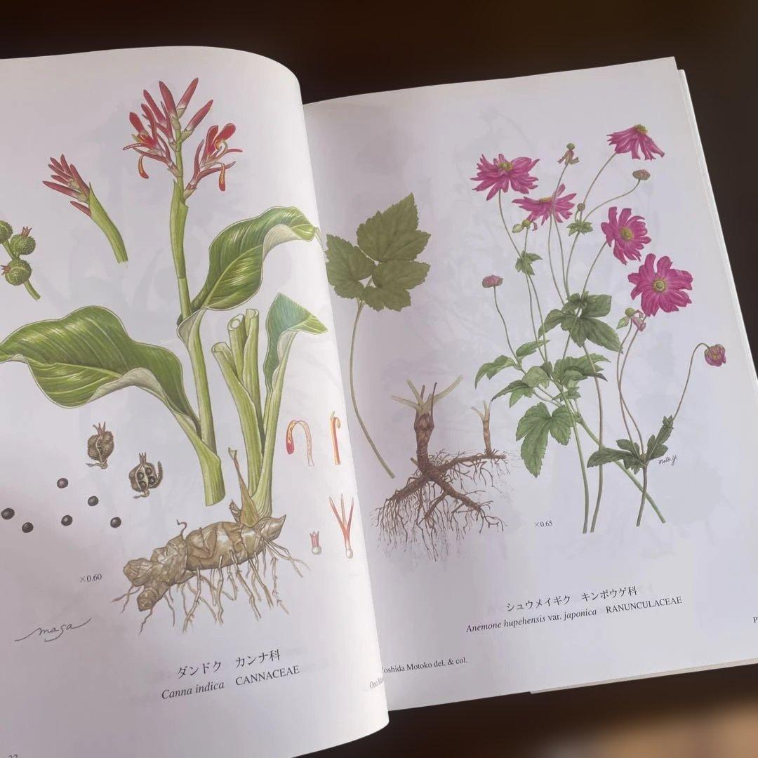 日本の帰化植物図譜
