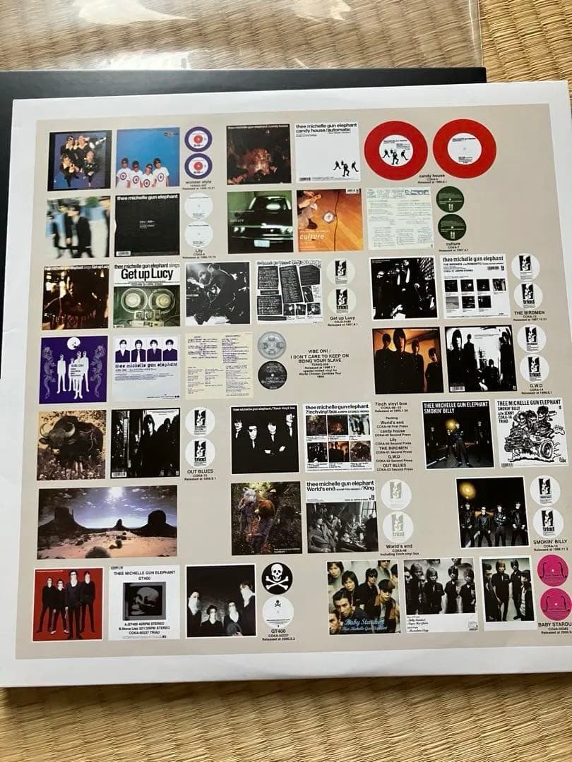 ミッシェルガンエレファント　106 TMGE アナログ　レコード