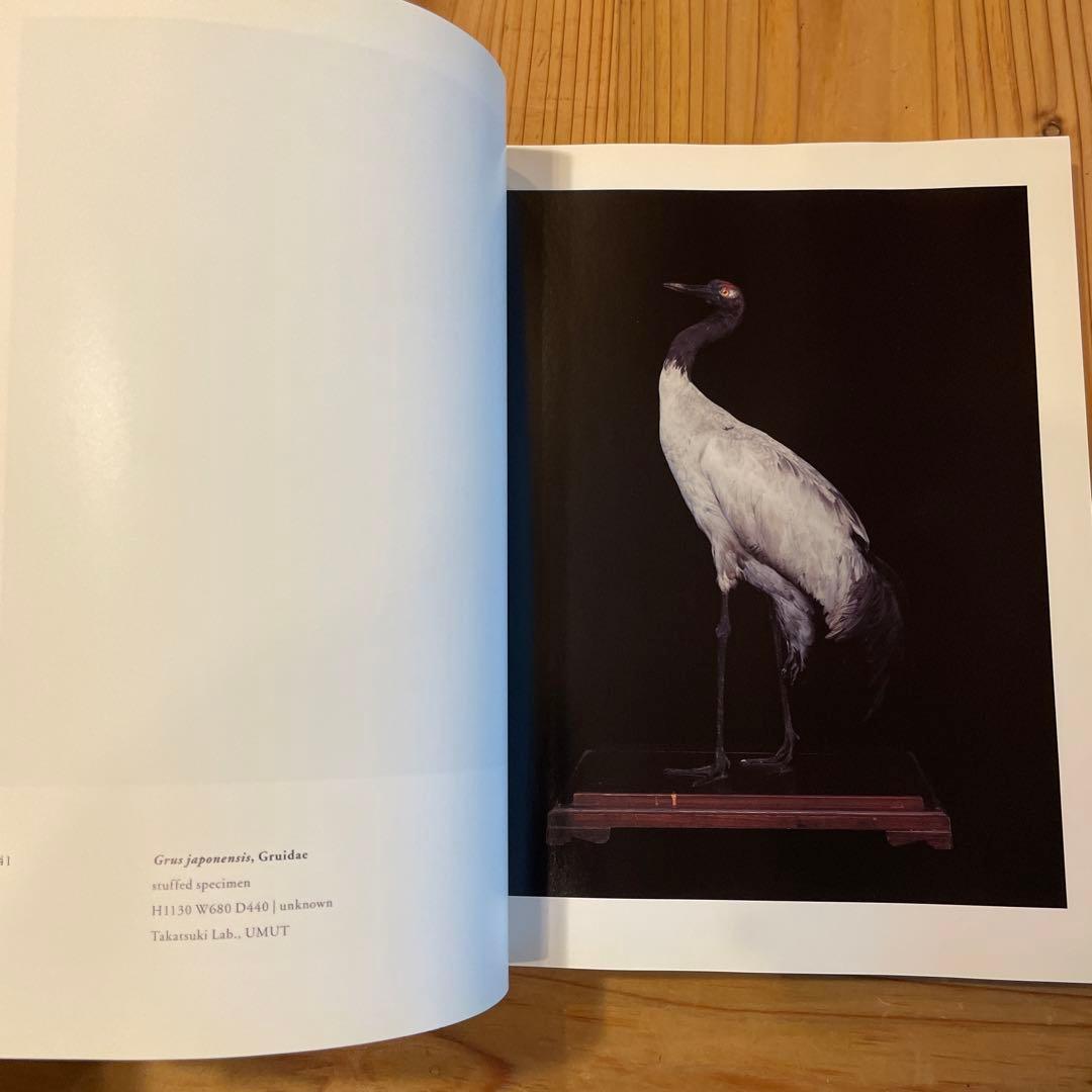 上田義彦「Chamber of Curiosities 」美品