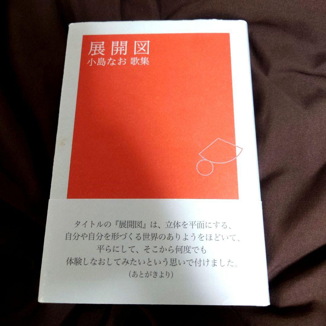 歌集 展開図 小島なお